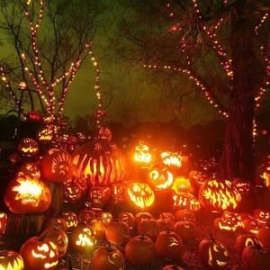 Meet your Posher, Deb